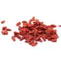 Free shipment TianYu/High grade dried fruit Qinghai-Tibet Plateau Goji berry Chinese Red Goji Berry